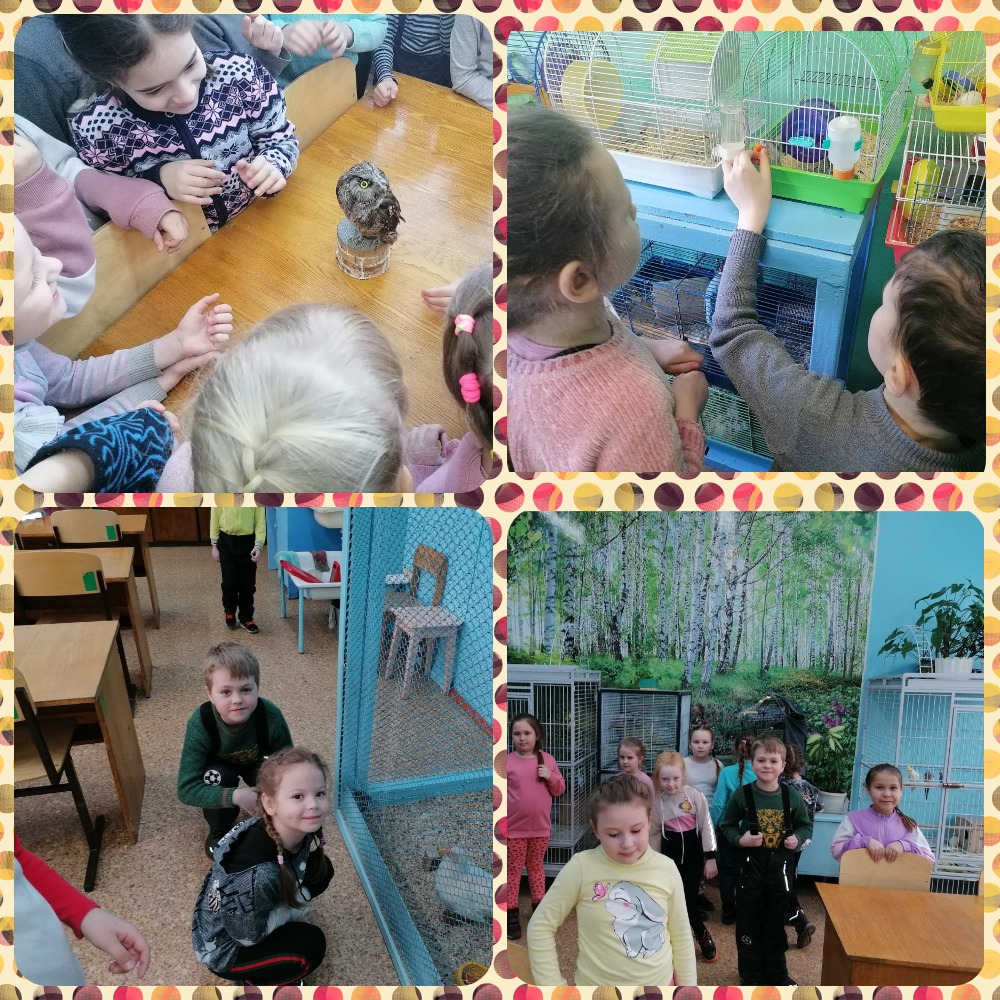 MyCollages 8